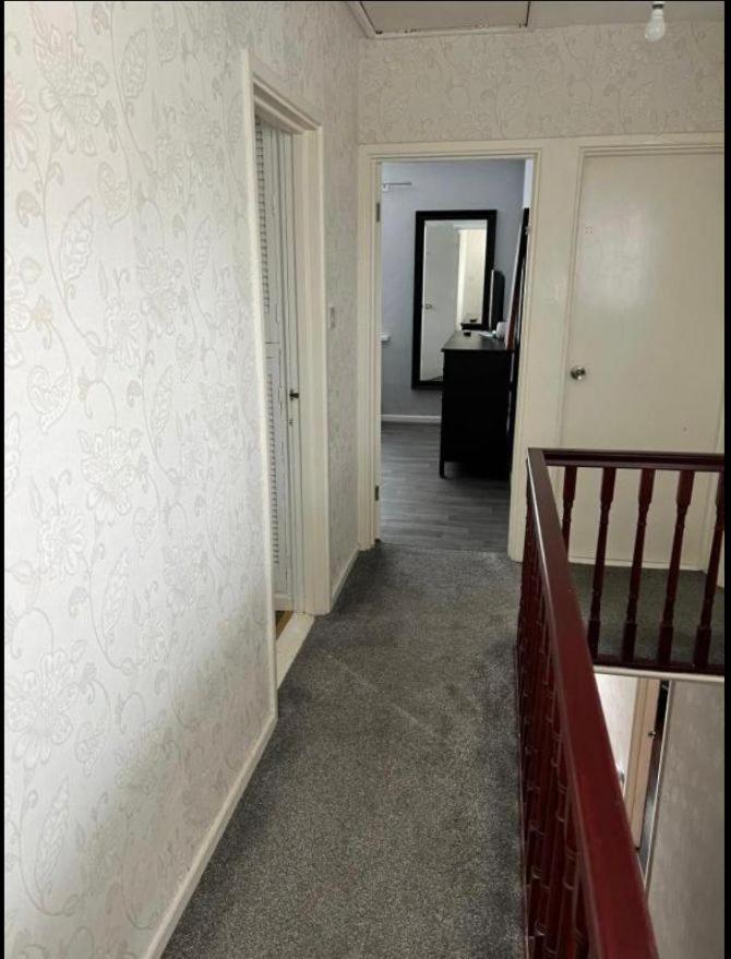 Macs Belfast Single Bedroom Exterior foto